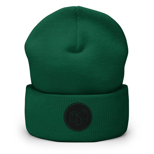 Cuffed Beanie - Green